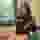 Low quality preview