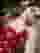 Low quality preview