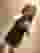 Low quality preview