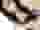 Low quality preview
