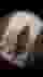 Low quality preview