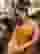 Low quality preview