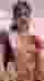 Low quality preview