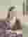 Low quality preview