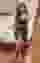 Low quality preview