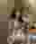 Low quality preview