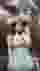 Low quality preview