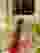 Low quality preview