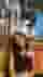 Low quality preview