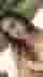 Low quality preview